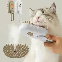 IMG-20241119-WA0038.webp